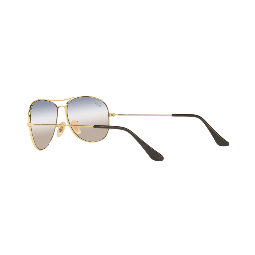 Ray Ban COCKPIT RB3362 Gold Men's Sunglasses