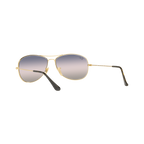 Ray Ban COCKPIT RB3362 Gold Men's Sunglasses