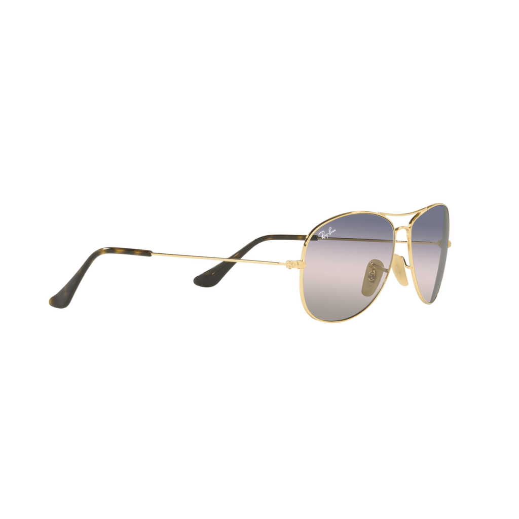 Ray Ban COCKPIT RB3362 Gold Men's Sunglasses