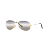 Ray Ban COCKPIT RB3362 Gold Men's Sunglasses