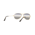 Ray Ban COCKPIT RB3362 Gold Men's Sunglasses