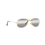 Ray Ban COCKPIT RB3362 Gold Men's Sunglasses