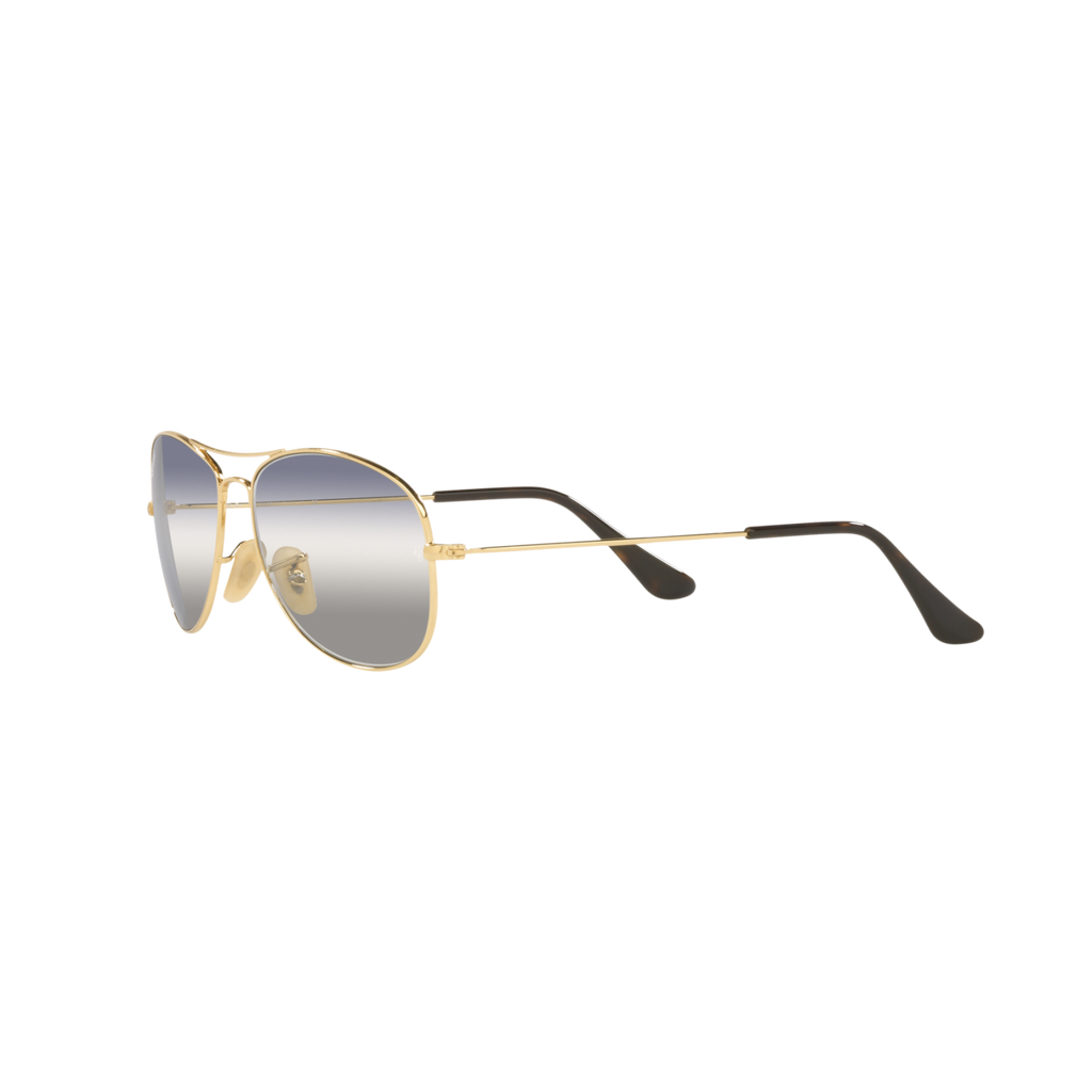 Ray Ban COCKPIT RB3362 Gold Men's Sunglasses