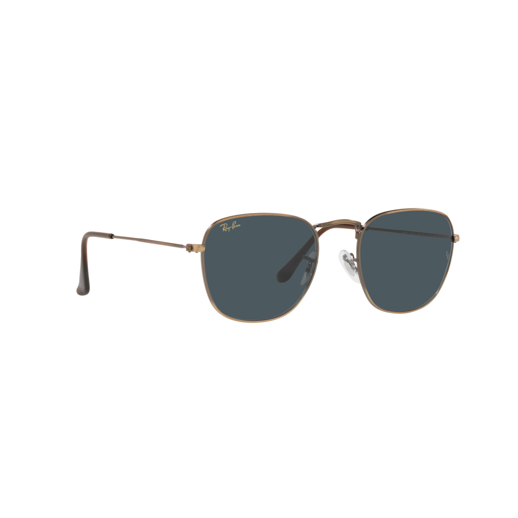 Ray Ban FRANK RB3857 Bronze Unisex Sunglasses