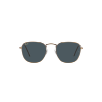 Ray Ban FRANK RB3857 Bronze Unisex Sunglasses