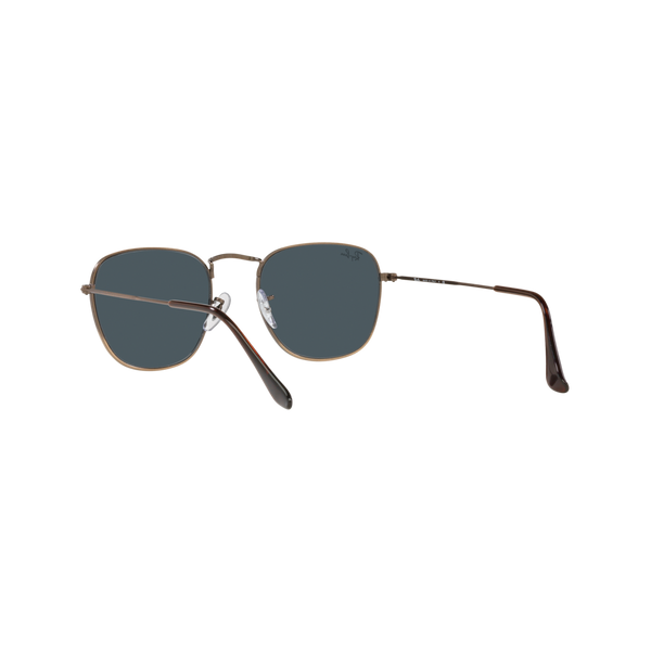 Ray Ban FRANK RB3857 Bronze Unisex Sunglasses