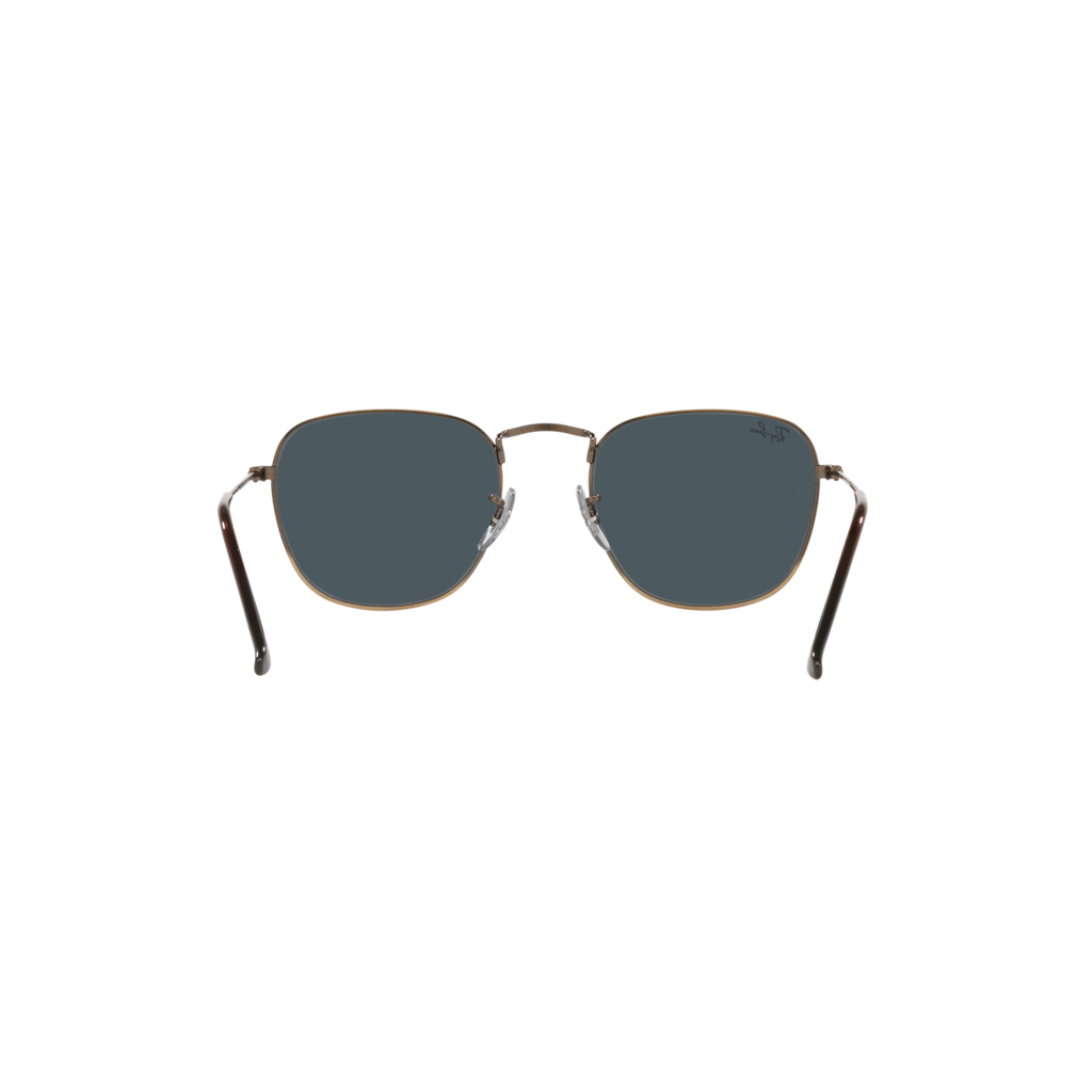 Ray Ban FRANK RB3857 Bronze Unisex Sunglasses