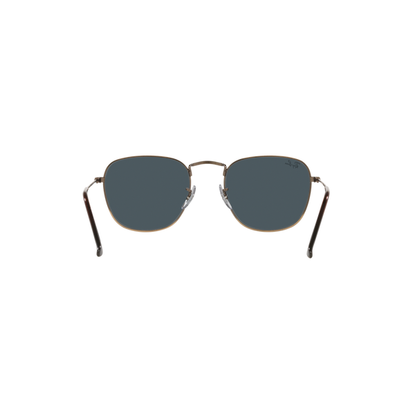 Ray Ban FRANK RB3857 Bronze Unisex Sunglasses