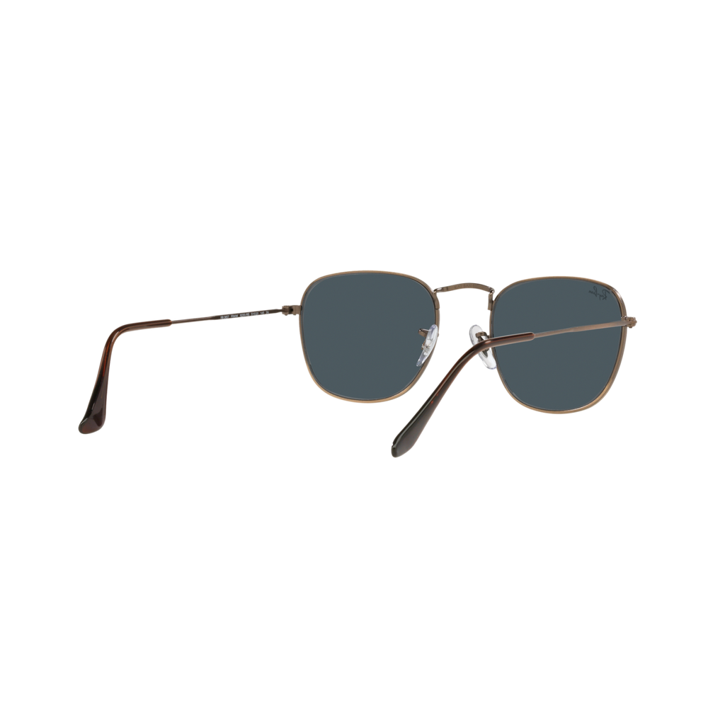 Ray Ban FRANK RB3857 Bronze Unisex Sunglasses