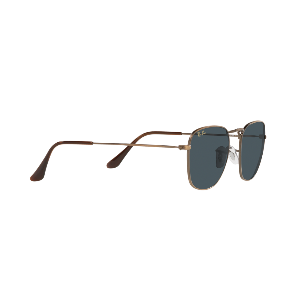 Ray Ban FRANK RB3857 Bronze Unisex Sunglasses