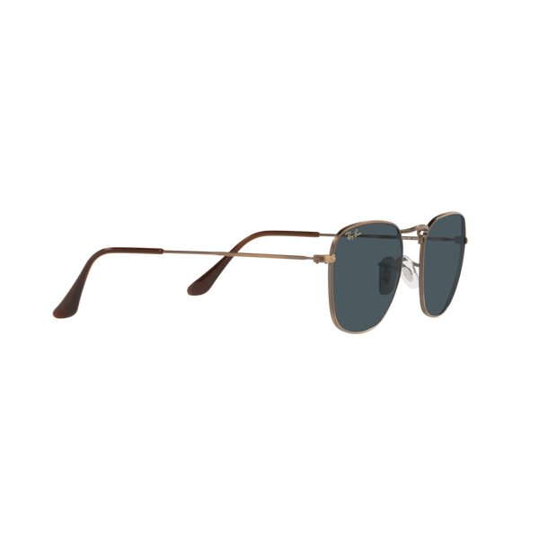Ray Ban FRANK RB3857 Bronze Unisex Sunglasses