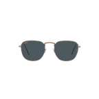 Ray Ban FRANK RB3857 Bronze Unisex Sunglasses