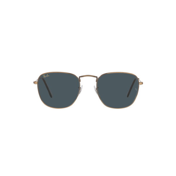 Ray Ban FRANK RB3857 Bronze Unisex Sunglasses