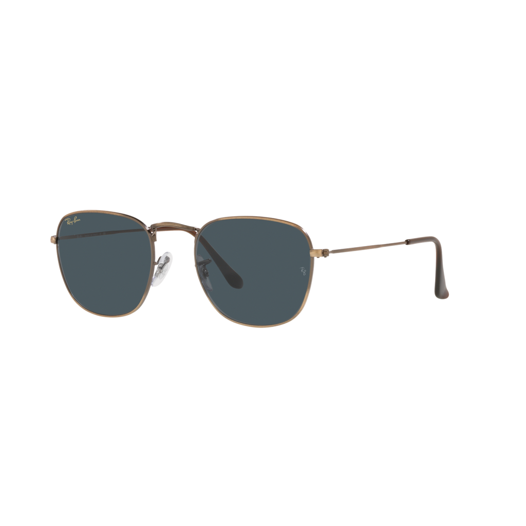 Ray Ban FRANK RB3857 Bronze Unisex Sunglasses