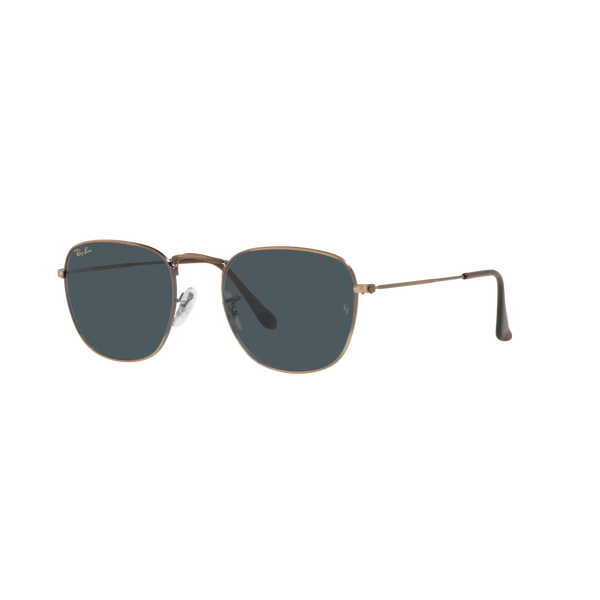 Ray Ban FRANK RB3857 Bronze Unisex Sunglasses
