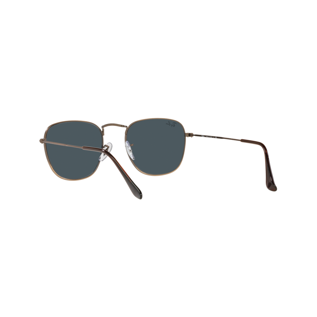 Ray Ban FRANK RB3857 Bronze Unisex Sunglasses