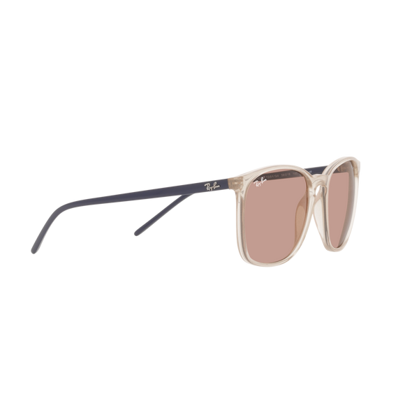 Ray Ban RB4387F RB4387F Brown Unisex Sunglasses