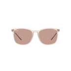 Ray Ban RB4387F RB4387F Brown Unisex Sunglasses