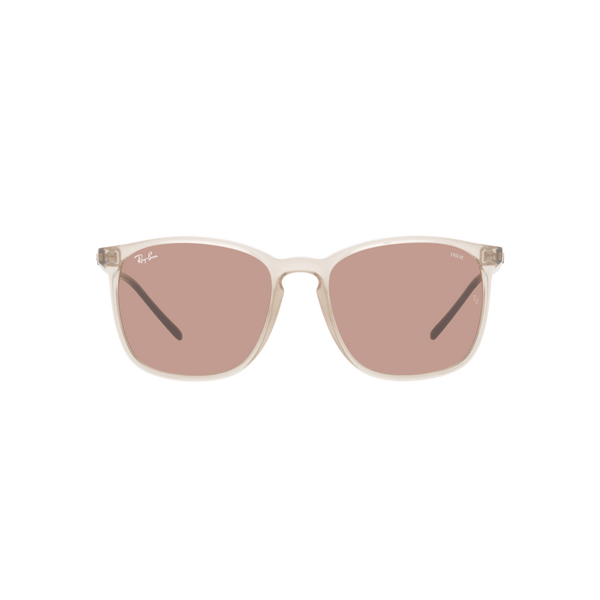 Ray Ban RB4387F RB4387F Brown Unisex Sunglasses
