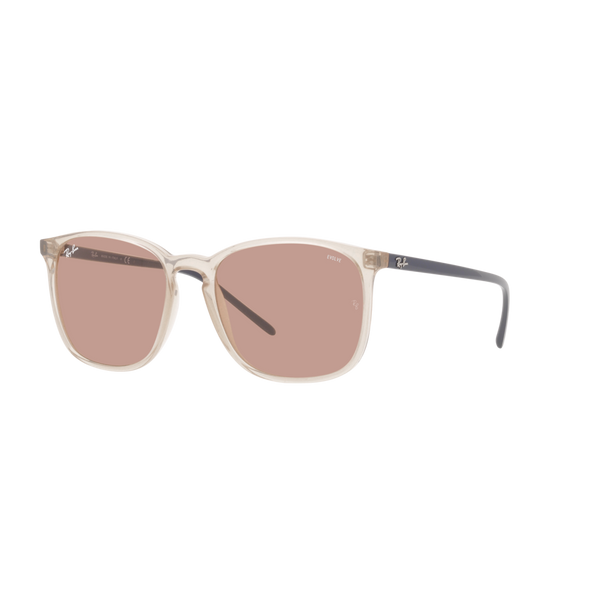 Ray Ban RB4387F RB4387F Brown Unisex Sunglasses