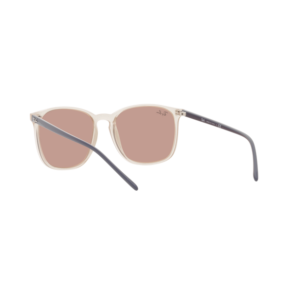Ray Ban RB4387F RB4387F Brown Unisex Sunglasses