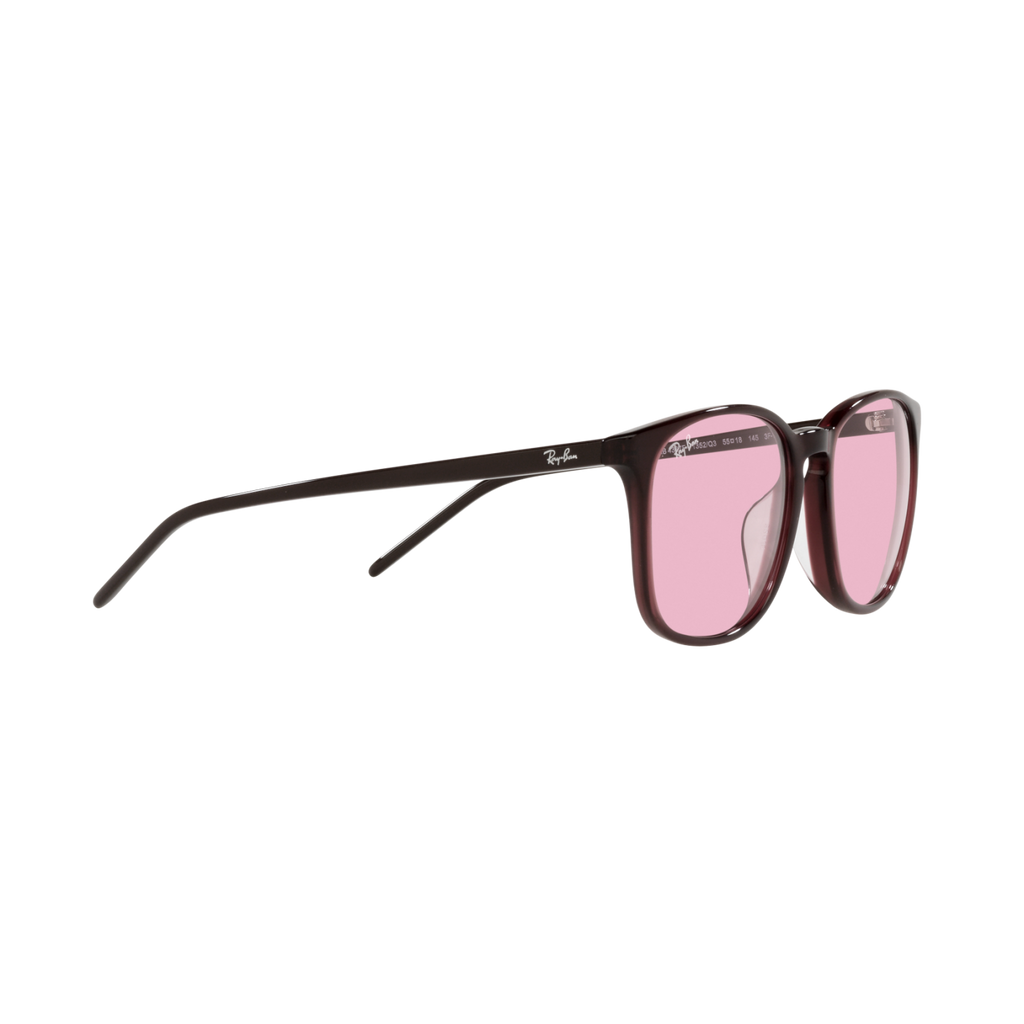 Ray Ban RB4387F RB4387F Purple Unisex Sunglasses