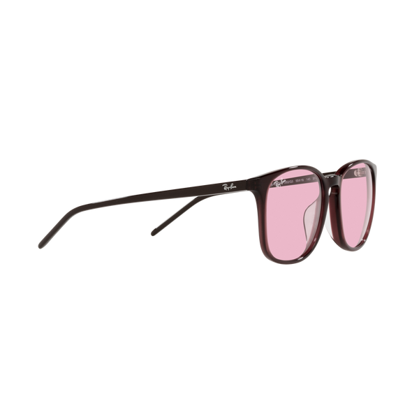Ray Ban RB4387F RB4387F Purple Unisex Sunglasses