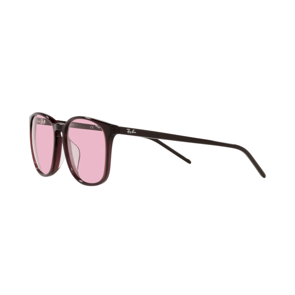Ray Ban RB4387F RB4387F Purple Unisex Sunglasses