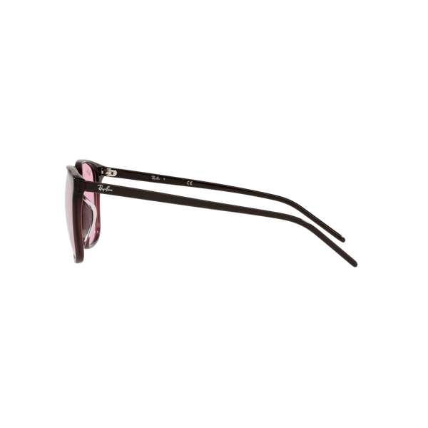 Ray Ban RB4387F RB4387F Purple Unisex Sunglasses