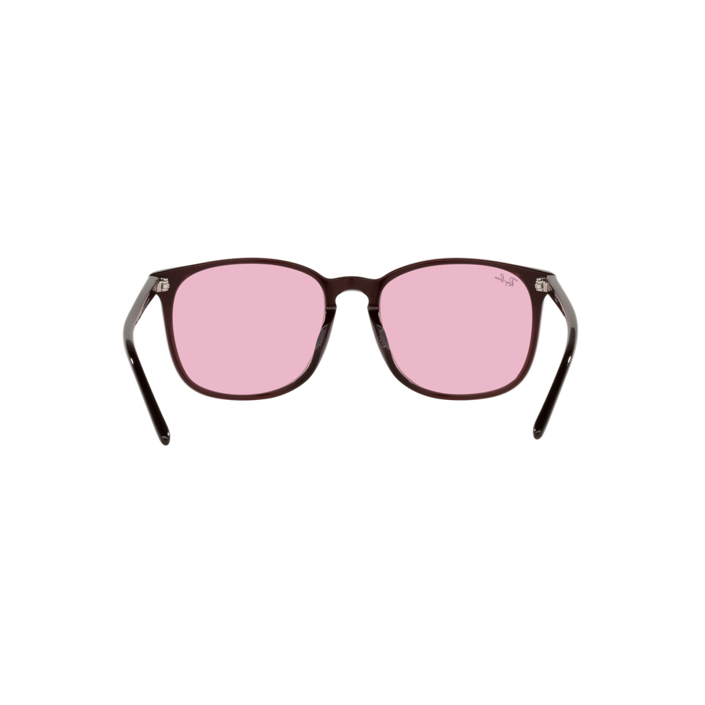 Ray Ban RB4387F RB4387F Purple Unisex Sunglasses