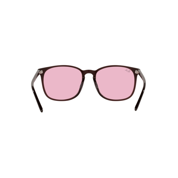 Ray Ban RB4387F RB4387F Purple Unisex Sunglasses