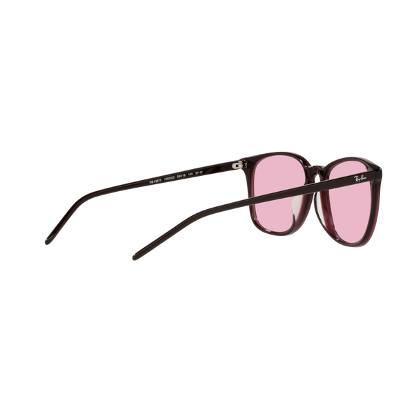 Ray Ban RB4387F RB4387F Purple Unisex Sunglasses