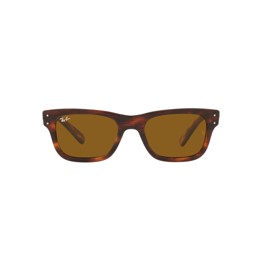 Ray Ban MR BURBANK RB2283 Havana Men's Sunglasses