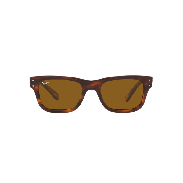 Ray Ban MR BURBANK RB2283 Havana Men's Sunglasses
