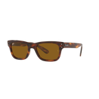 Ray Ban MR BURBANK RB2283 Havana Men's Sunglasses