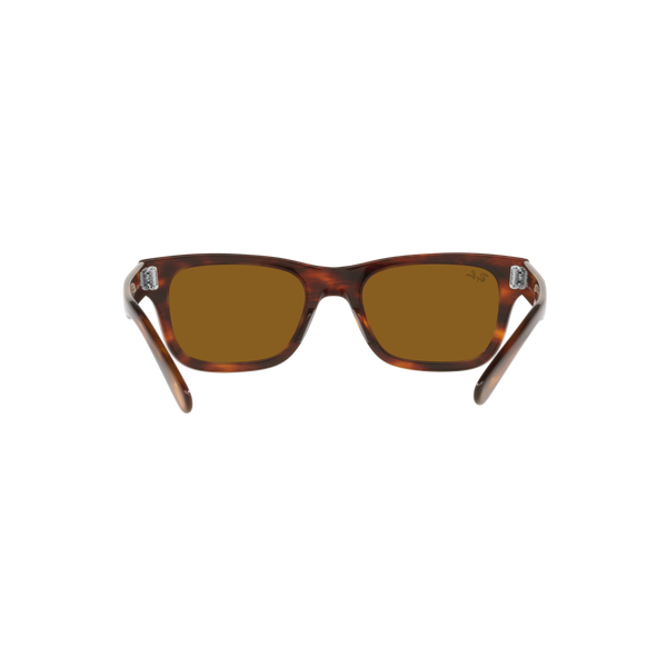 Ray Ban MR BURBANK RB2283 Havana Men's Sunglasses