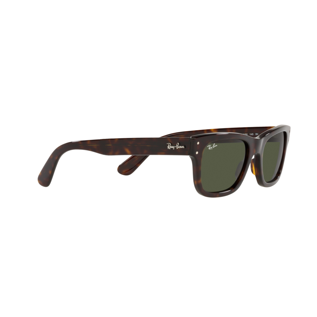 Ray Ban MR BURBANK RB2283 Havana Men's Sunglasses