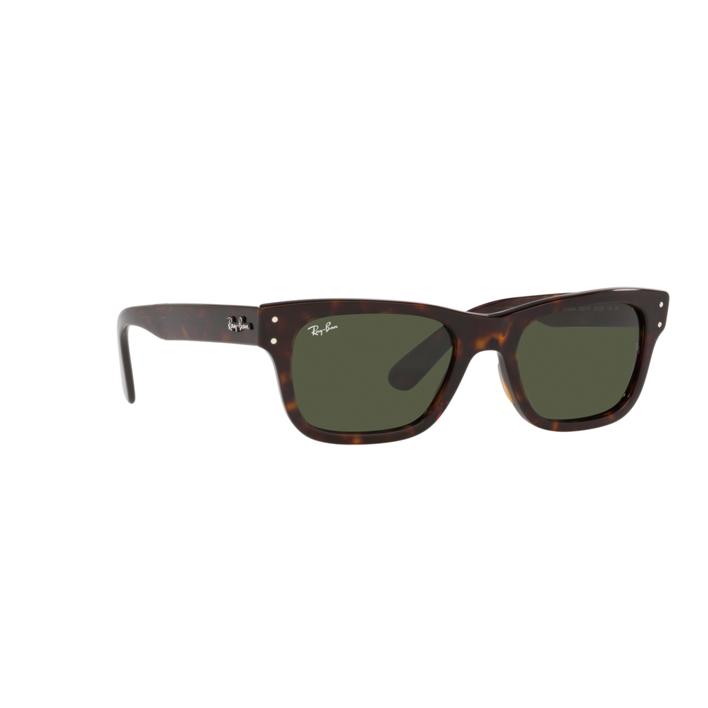 Ray Ban MR BURBANK RB2283 Havana Men's Sunglasses
