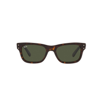 Ray Ban MR BURBANK RB2283 Havana Men's Sunglasses