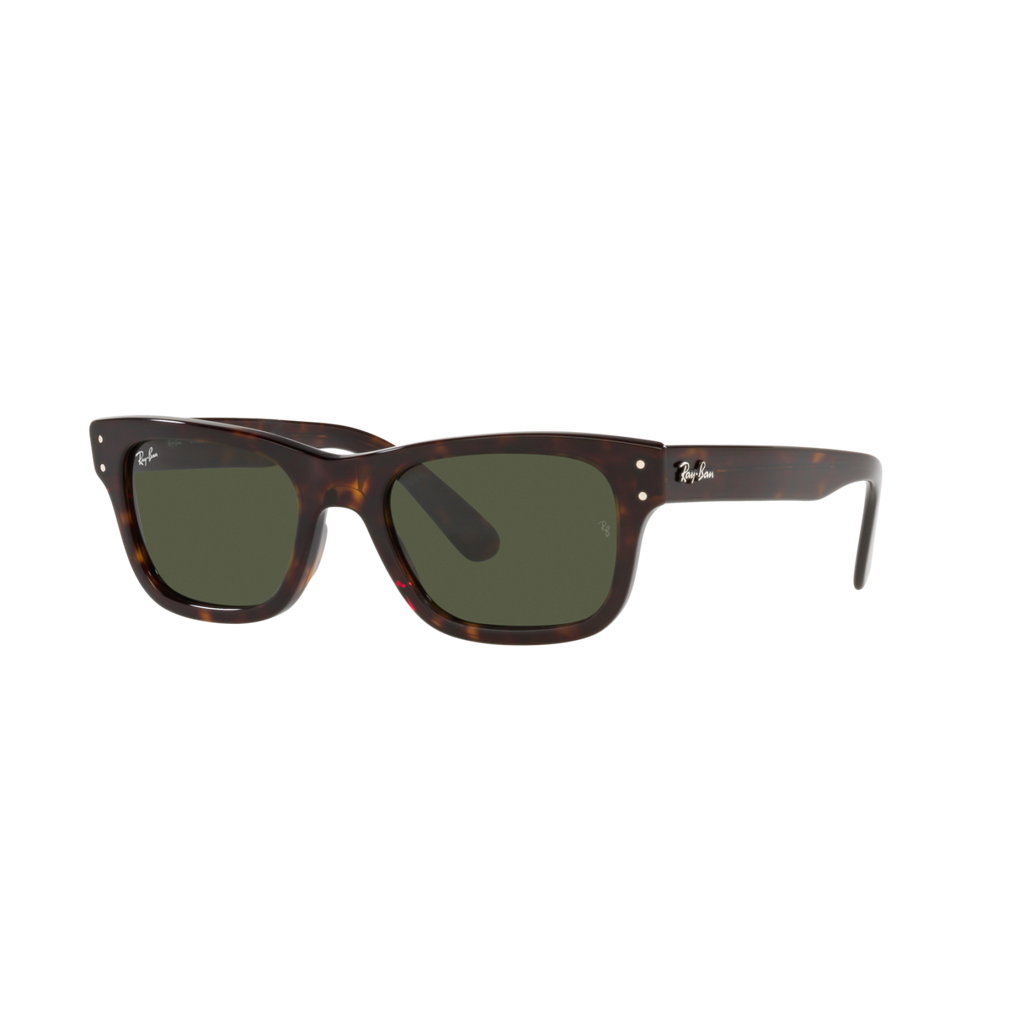 Ray Ban MR BURBANK RB2283 Havana Men's Sunglasses