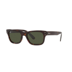 Ray Ban MR BURBANK RB2283 Havana Men's Sunglasses