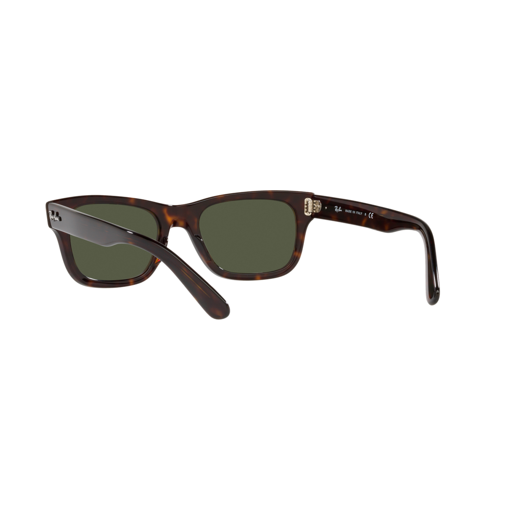 Ray Ban MR BURBANK RB2283 Havana Men's Sunglasses