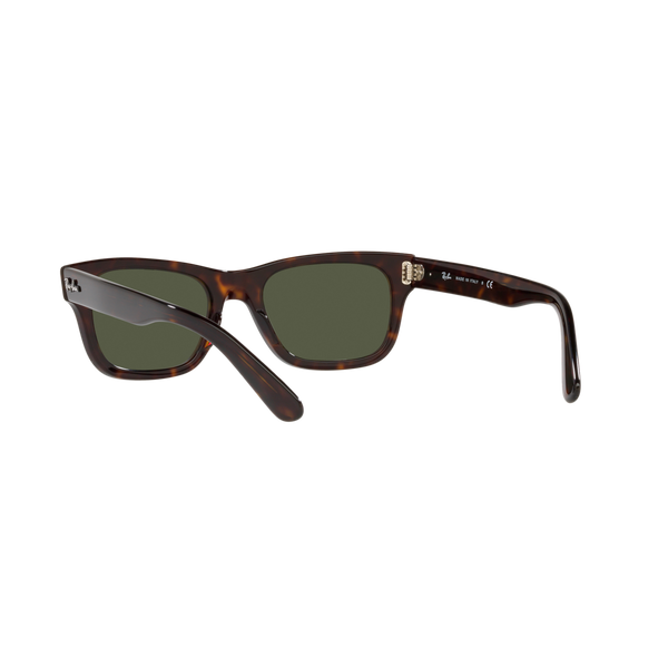 Ray Ban MR BURBANK RB2283 Havana Men's Sunglasses