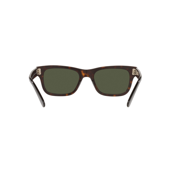 Ray Ban MR BURBANK RB2283 Havana Men's Sunglasses