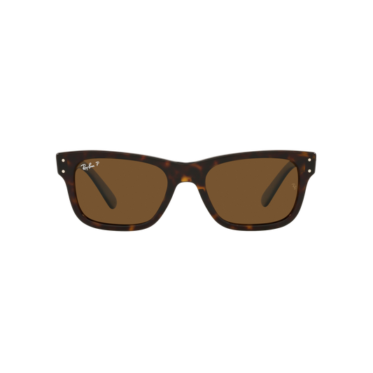 Ray Ban MR BURBANK RB2283 Havana Men's Polarized Sunglasses