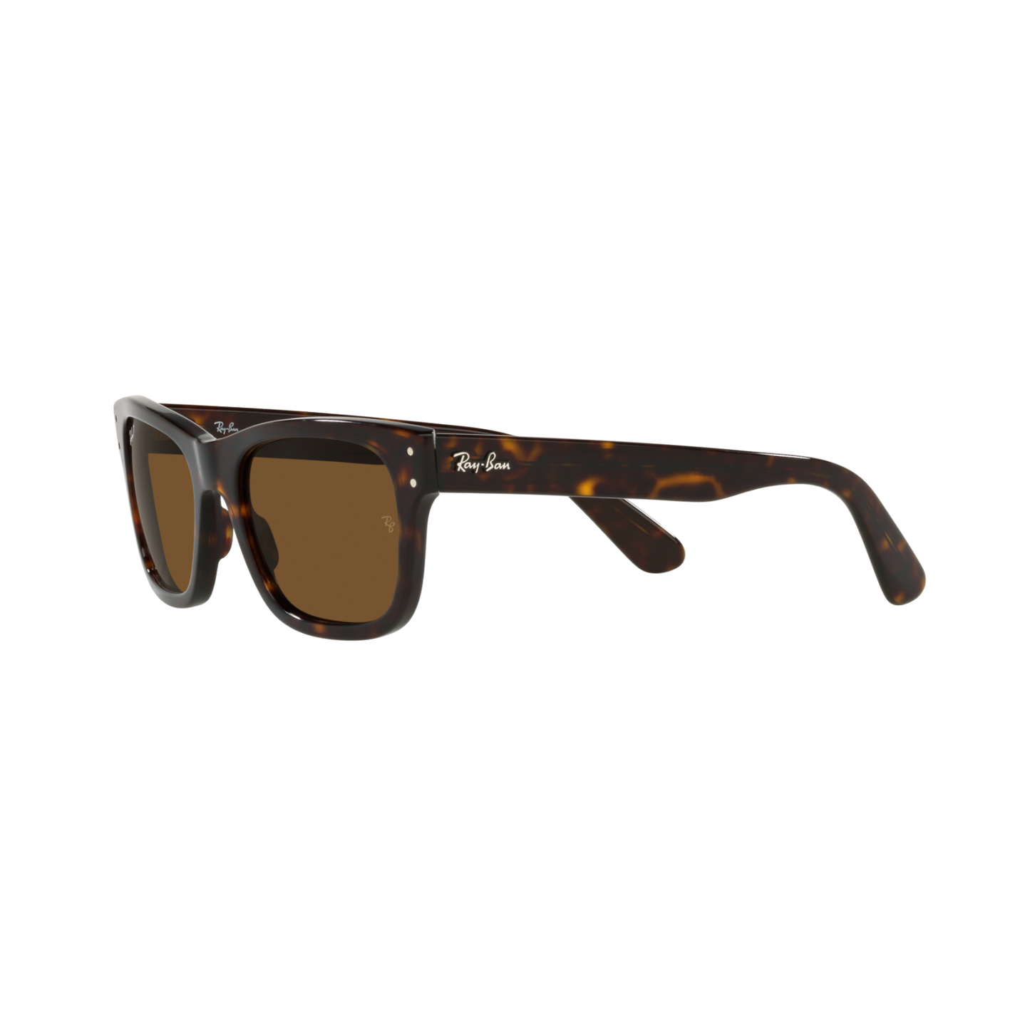 Ray Ban MR BURBANK RB2283 Havana Men's Polarized Sunglasses