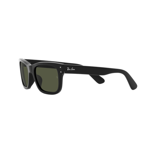 Ray Ban MR BURBANK RB2283 Black Men's Sunglasses