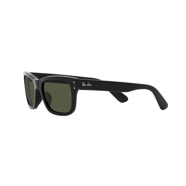 Ray Ban MR BURBANK RB2283 Black Men's Sunglasses