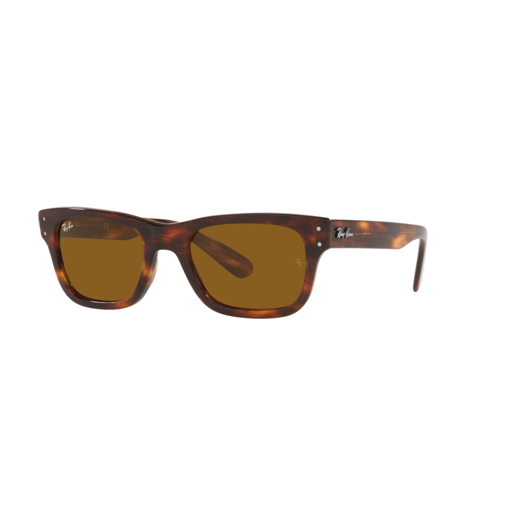 Ray Ban MR BURBANK RB2283 Havana Men's Sunglasses