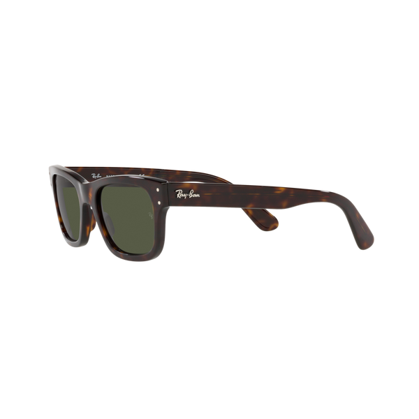 Ray Ban MR BURBANK RB2283 Havana Men's Sunglasses